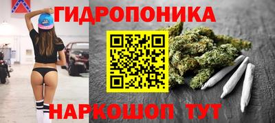 индика Краснознаменск