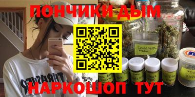 индика Краснознаменск