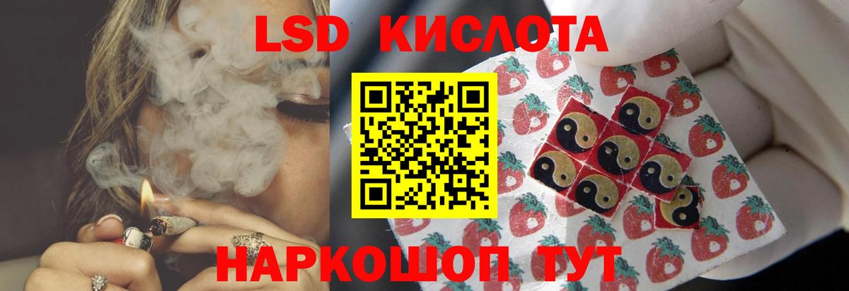 Галлюциногенные грибы Чайковский